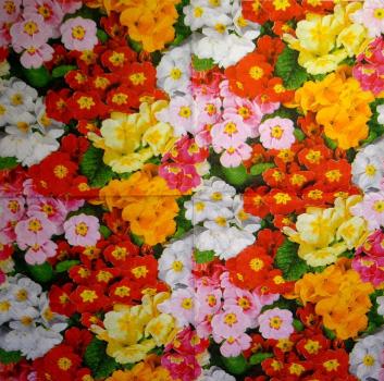 189 Blumen Sonstige - 3-lagig