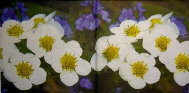 192 Flowers Others - 3-ply