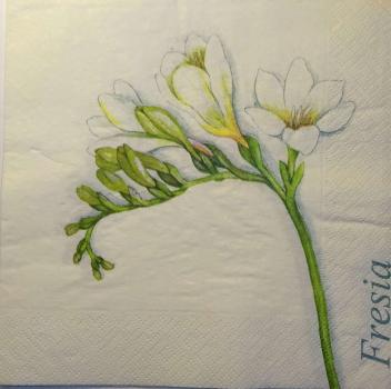 202 Flowers Others - 3-ply (weiß)