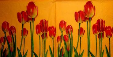 140 Tulpen - 3-lagig - Home Fashion