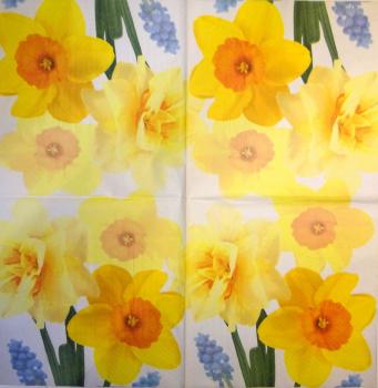 153 Daffodils - 3 ply