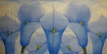 023 Calla - 3-ply (blue) - ti-flair