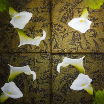 025 Calla - 3-ply - Avantgarde