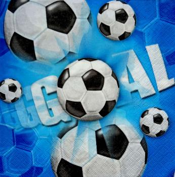 022 Sport: Fußball - 2-ply (blue)