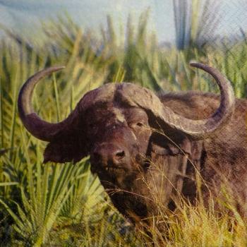 066 Tiere Afrika: Diverse - 3-lagig