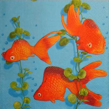 051 Fish - 3-ply