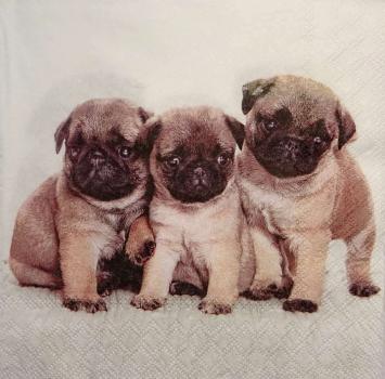 154 Dogs - 3-ply - Ambiente