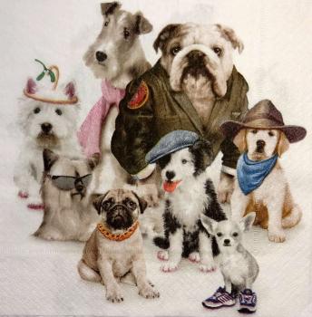 116 Hunde - 3-lagig - Interlitho