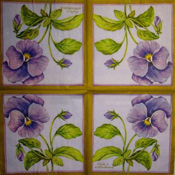 075 Stiefmütterchen - 3-ply (gold) - Viola Wittrockiana