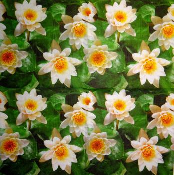216 Blumen Sonstige - 3 lagig