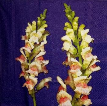 118 Blumen Sonstige - 3 lagig (lila) - Ihr