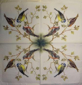 171 Vögel - 3-ply - 35x35 cm