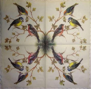 171 Vögel - 1-lagig - 35x35 cm - Wellenrand