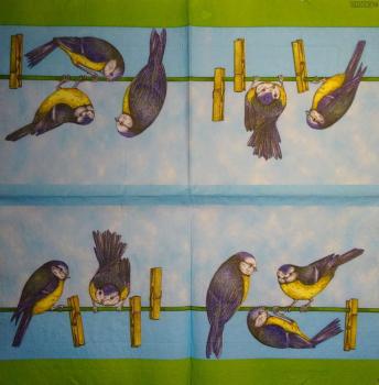 176 Vögel - 3-lagig - Molca