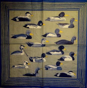 123 Ducks - 3-ply - Eva Logell