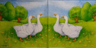 131 Enten - 3-lagig - Stewo