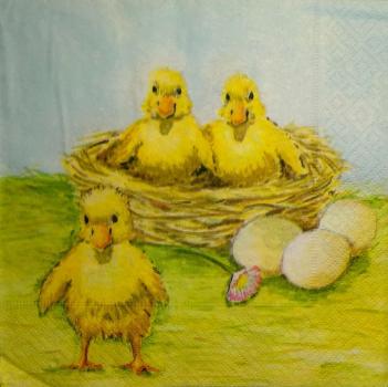 134 Ducks - 3-ply
