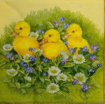 144 Ducks - 3-ply - Ambiente - CS