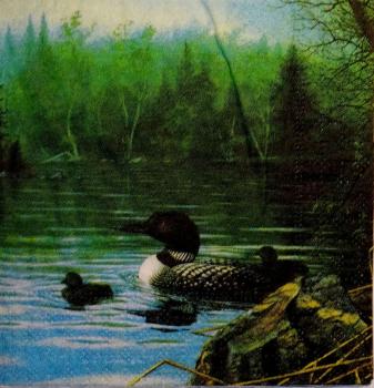 146 Enten - 3-lagig - Charles Keller - CS