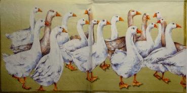 013 Ducks - 3-ply (beige) - Ihr