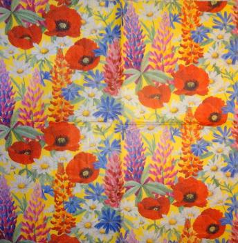 190 Anemones, Poppy - 3-ply