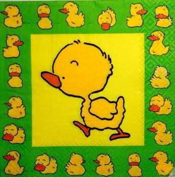 081 Ducks - 3-ply (grün)
