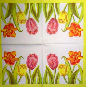 149 Tulpen - 3-lagig