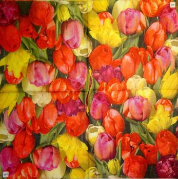 151 Tulips - 3-ply - ppd - Andrea Tilk