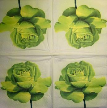 029 Roses - 3-ply (grün) - ti-flair