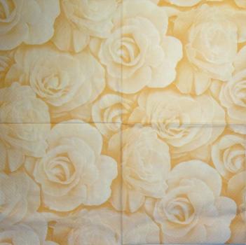 519 Rosen - 3-lagig (beige-216711) - Paw