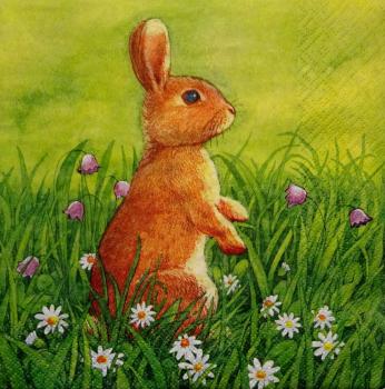 059 Rabbits:  natürlich - 3-ply - ti-flair