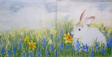 055 Rabbits:  natürlich - 3-ply - Ihr