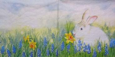 055 Rabbits:  natürlich - 3-ply - Ihr - CS