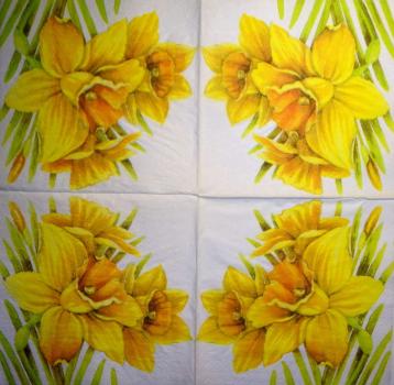 132 Daffodils - 3 ply