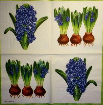 137 Daffodils - 3 ply (blue) - Molca