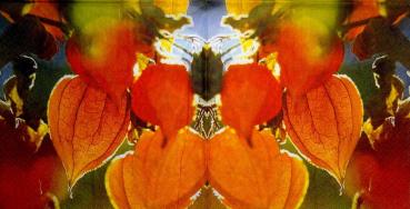 136 Herbst - 3-lagig
