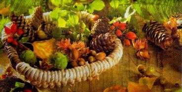 074 Herbst - 3-lagig (links) - Fasana
