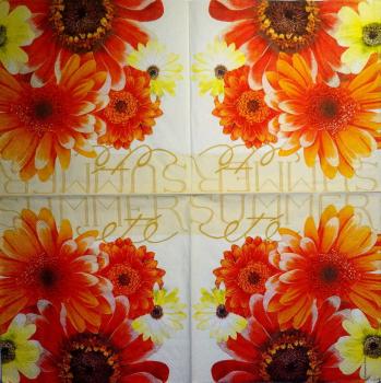 236 Daisies  - 3 ply - Ambiente