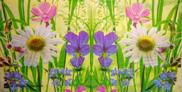 250 Daisies  - 3 ply - ppd - Krackenberger