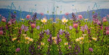 251 Daisies  - 3 ply - Stewo