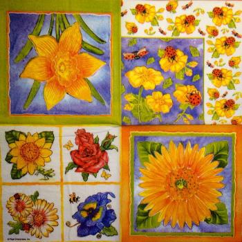 257 Daisies  - 3 ply - Plaid Enterprises