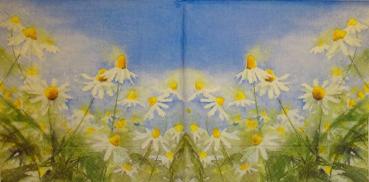 262 Daisies  - 3 ply - Home Fashion