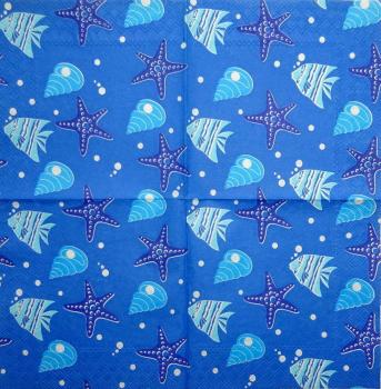071 Shellfish - 3-ply (bright) - Fasana - CS