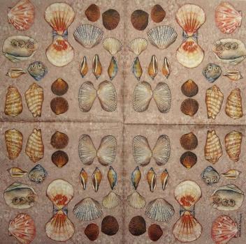 073 Shellfish - 3-ply (brown) - MOLCA
