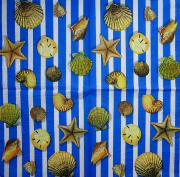 081 Muscheln - 3-lagig - ppd - Paula Scaletta