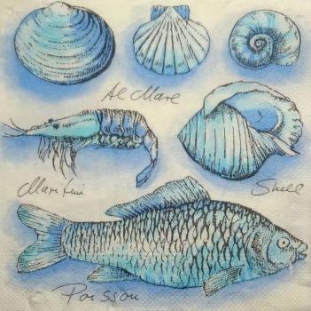 091 Shellfish - 3-ply (weiß)
