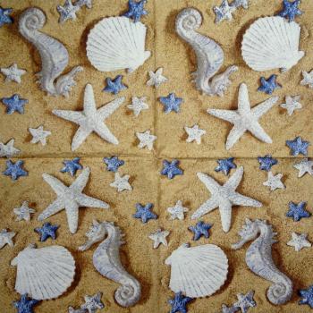 095 Shellfish - 3-ply - Paper Design