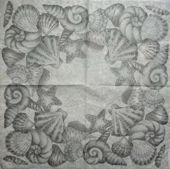 105 Shellfish - 3-ply (silver)