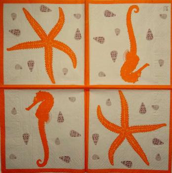 106 Muscheln - 3-lagig (orange) - Scandolet