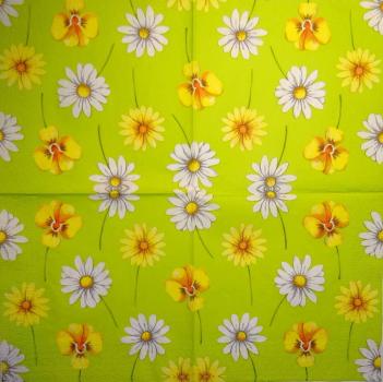 278 Daisies - 3-ply